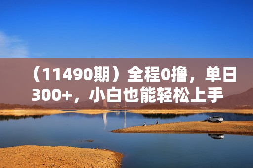 （11490期）全程0撸，单日300+，小白也能轻松上手可放大操作