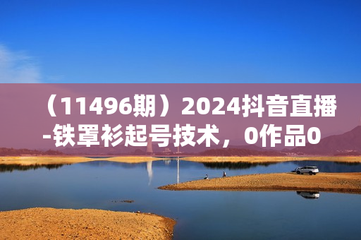 （11496期）2024抖音直播-铁罩衫起号技术，0作品0粉快速起号，日入四位数（14节课）
