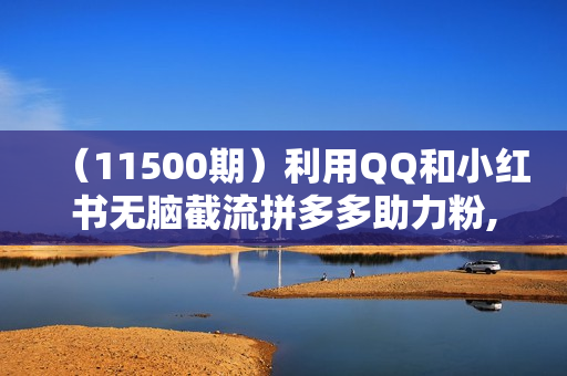 （11500期）利用QQ和小红书无脑截流拼多多助力粉,不用拍单发货,后端自动成交变现.