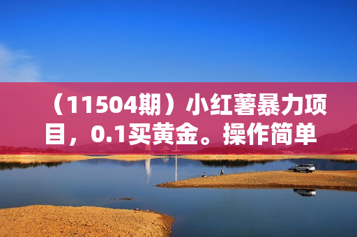 （11504期）小红薯暴力项目，0.1买黄金。操作简单，日入无上限，可无限扩大。