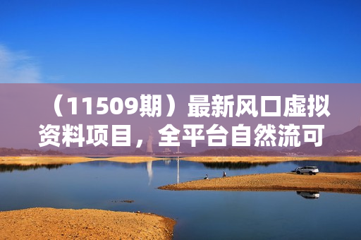 （11509期）最新风口虚拟资料项目，全平台自然流可持续长久做。复制粘贴 日入四位数