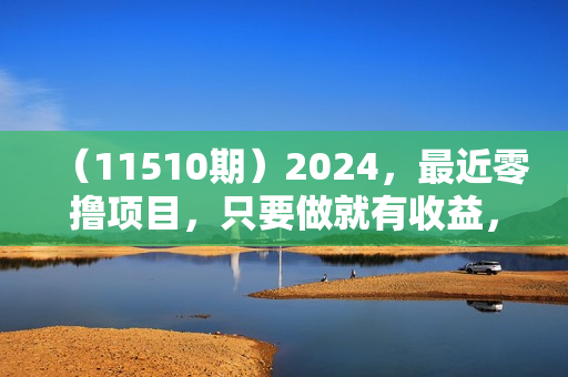 （11510期）2024，最近零撸项目，只要做就有收益，每天动动手指稳定收益300+