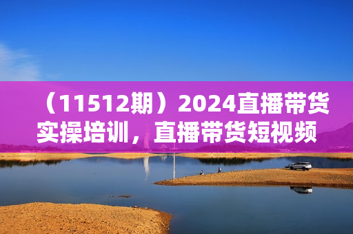 （11512期）2024直播带货实操培训，直播带货短视频带货/高权重账号措建/短视频实操