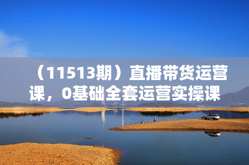 （11513期）直播带货运营课，0基础全套运营实操课 流量变现+思维模型+多案例呈现-34节