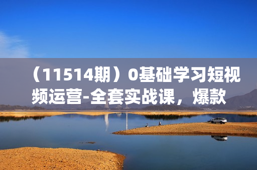 （11514期）0基础学习短视频运营-全套实战课，爆款内容设计+粉丝运营+内容变现(28节)