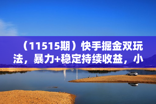 （11515期）快手掘金双玩法，暴力+稳定持续收益，小白也能日入1000+