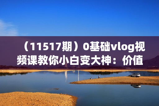 （11517期）0基础vlog视频课教你小白变大神：价值20w的爆款视频制作方法