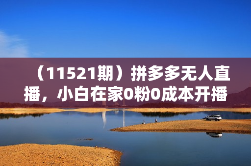 （11521期）拼多多无人直播，小白在家0粉0成本开播立赚268，在家轻松月入数千