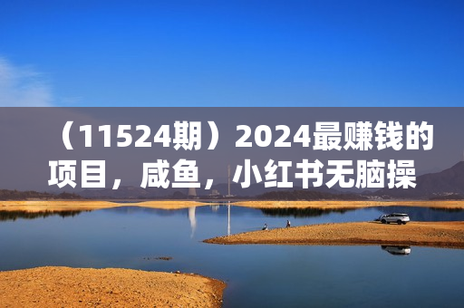 （11524期）2024最赚钱的项目，咸鱼，小红书无脑操作，每单利润500+，轻松月入5万+