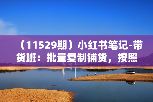 （11529期）小红书笔记-带货班：批量复制铺货，按照方法操作快速出单（更新24年7月）