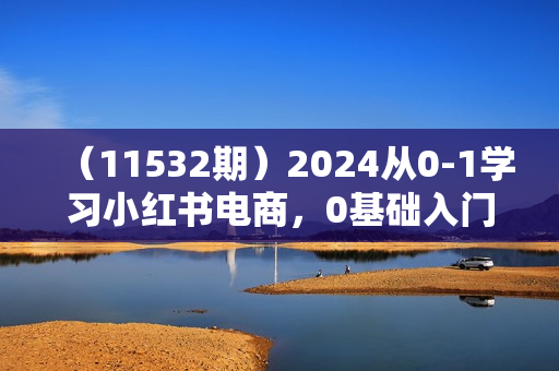 （11532期）2024从0-1学习小红书电商，0基础入门，每个人的机会（44节）