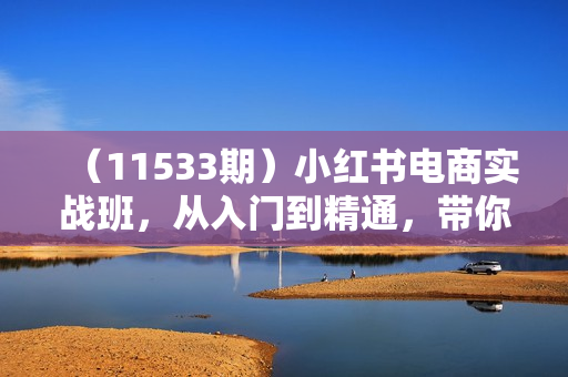 （11533期）小红书电商实战班，从入门到精通，带你抓住又一个赚钱风口（16节）
