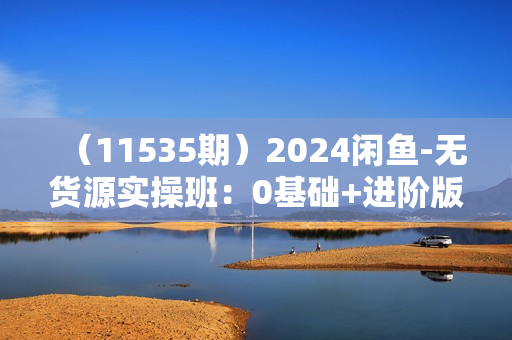 （11535期）2024闲鱼-无货源实操班：0基础+进阶版，离变现最近的电商项目（15节）