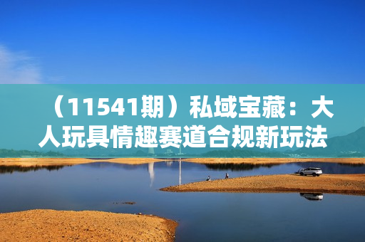 （11541期）私域宝藏：大人玩具情趣赛道合规新玩法，零投入，私域超高流量成单率高