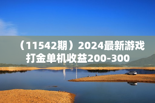 （11542期）2024最新游戏打金单机收益200-300