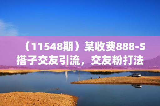 （11548期）某收费888-S搭子交友引流，交友粉打法 sop，导流到私域实现长期稳定盈利