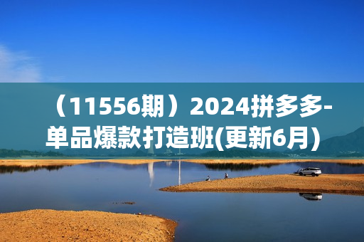 （11556期）2024拼多多-单品爆款打造班(更新6月)，充分应用你的流量，增长实战培训