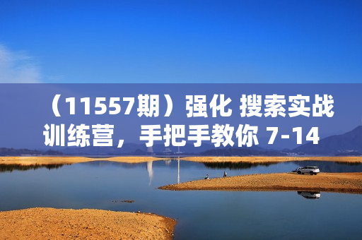 （11557期）强化 搜索实战训练营，手把手教你 7-14天快速-打爆新品流量（13节课）