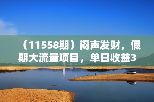 （11558期）闷声发财，假期大流量项目，单日收益3千+ ，拿出执行力，两个月翻身