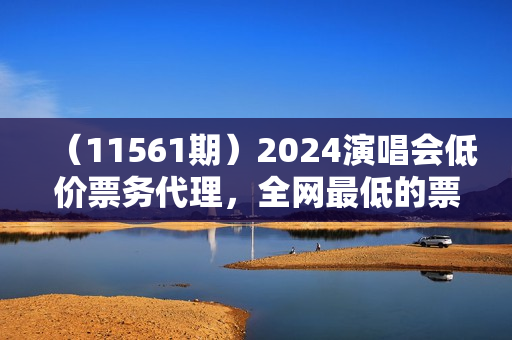 （11561期）2024演唱会低价票务代理，全网最低的票价，手把手教你卖票，日入2000+