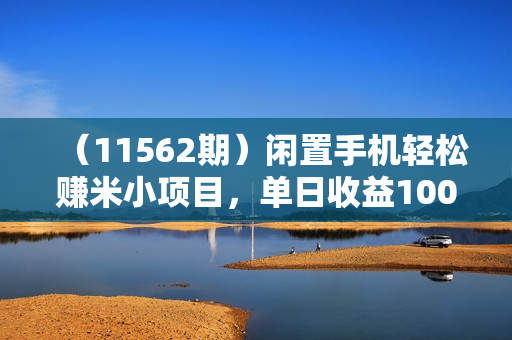 （11562期）闲置手机轻松赚米小项目，单日收益100+，可放大操作，工作室稳定运行