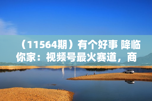 （11564期）有个好事 降临你家：视频号最火赛道，商品橱窗，分成计划 条条爆款，每