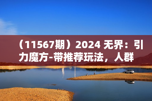 （11567期）2024 无界：引力魔方-带推荐玩法，人群推广带免费技巧，付费带免费