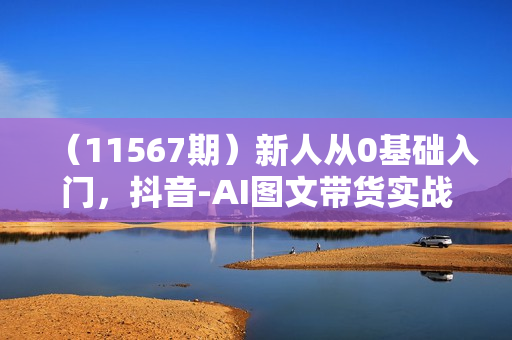 （11567期）新人从0基础入门，抖音-AI图文带货实战课，从0-1打造AI图文带货