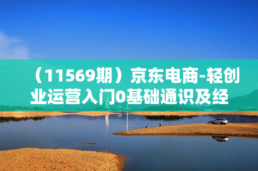 （11569期）京东电商-轻创业运营入门0基础通识及经验分享：选品/流量/推广/运营