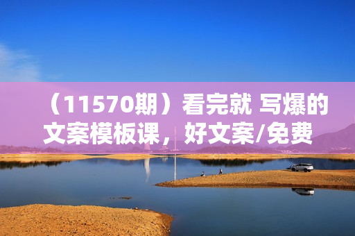 （11570期）看完就 写爆的文案模板课，好文案/免费流量/快速成交/学好文案价值百万