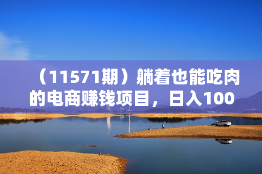 （11571期）躺着也能吃肉的电商赚钱项目，日入1000+，适合新手小白宝妈学生党工作室