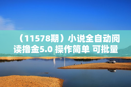 （11578期）小说全自动阅读撸金5.0 操作简单 可批量操作 零门槛！小白无脑上手月入2w+