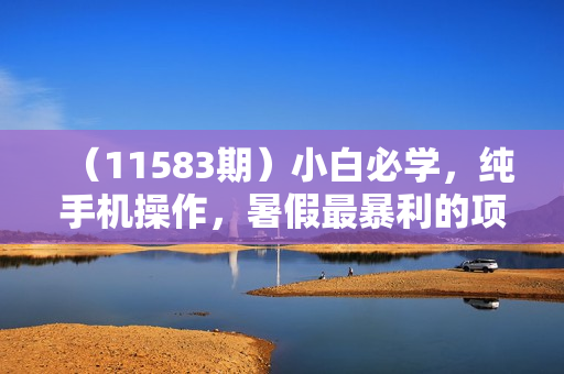 （11583期）小白必学，纯手机操作，暑假最暴利的项目轻松月入5w+最火热赚钱项目