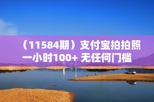 （11584期）支付宝拍拍照 一小时100+ 无任何门槛  多劳多得 一台手机轻松操作
