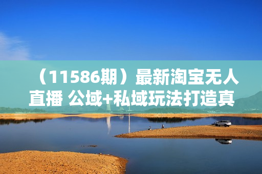 （11586期）最新淘宝无人直播 公域+私域玩法打造真正的日不落直播间 小白看了也能