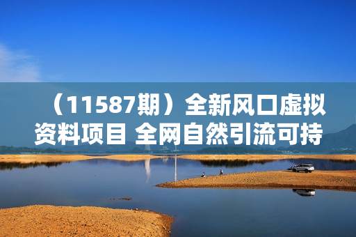 （11587期）全新风口虚拟资料项目 全网自然引流可持续长久项目 复制粘贴即可可矩阵
