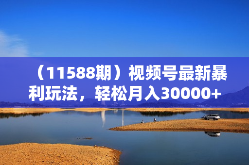 （11588期）视频号最新暴利玩法，轻松月入30000+