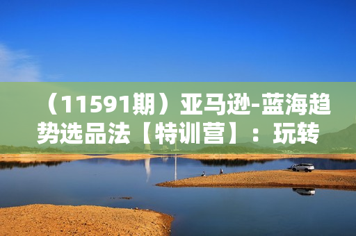 （11591期）亚马逊-蓝海趋势选品法【特训营】：玩转信息差，成功快速套利!