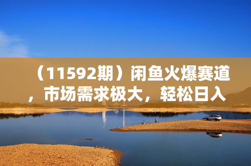 （11592期）闲鱼火爆赛道，市场需求极大，轻松日入300+
