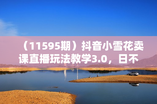（11595期）抖音小雪花卖课直播玩法教学3.0，日不落无人直播间，批量操作日入3000+