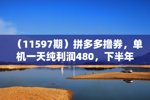 （11597期）拼多多撸券，单机一天纯利润480，下半年收益更高，不限设备，不限IP。