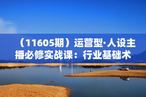（11605期）运营型·人设主播必修实战课：行业基础术语扫盲，起号及账号破层级