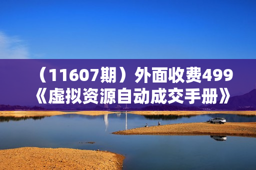 （11607期）外面收费499《虚拟资源自动成交手册》7种虚拟资源自动变现方式-普通人可做