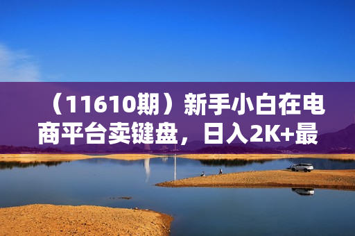 （11610期）新手小白在电商平台卖键盘，日入2K+最真实教学