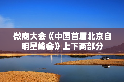 微商大会《中国首届北京自明星峰会》上下两部分