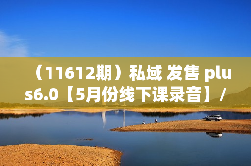 （11612期）私域 发售 plus6.0【5月份线下课录音】/全域套装 sop流程包，社群发售