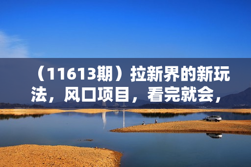 （11613期）拉新界的新玩法，风口项目，看完就会，动手就有