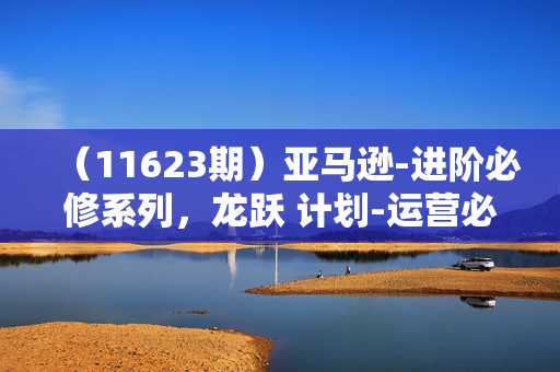 （11623期）亚马逊-进阶必修系列，龙跃 计划-运营必修营新课，让卖家实现提升 让单
