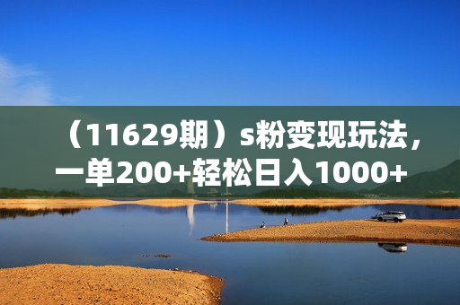 （11629期）s粉变现玩法，一单200+轻松日入1000+好友加到屏蔽