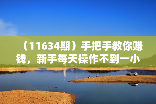 （11634期）手把手教你赚钱，新手每天操作不到一小时，月入过万轻轻松松，最火爆的